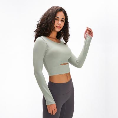 China Breathable Hot Sale Yoga Crop Top Fitness Workout Wear Plus Size Women Clothing Sportswear for sale