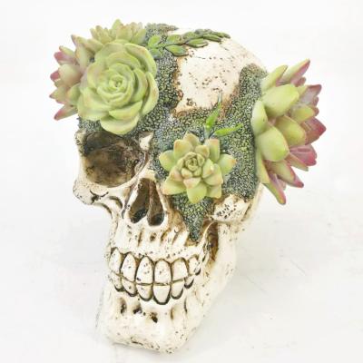 China China New Collection Resin Decorative Skull Head For Sale for sale