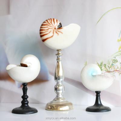 China Elegant Shell Home Decoration Stand Sculpture Shell China Resin Conch Statue for sale