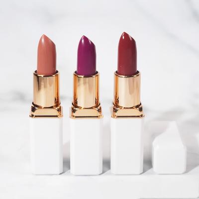 China Waterproof Lipstick Customized Comfortable High Quality Colorful Vegan Lipstick Custom Lipstick for sale