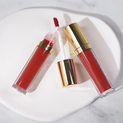 China Moisturize Vegan Custom High Dye Shiny Gloss Vegan Moisturizing Nude Lip Gloss Private Label Lip Gloss Liquid Lip Cream for sale