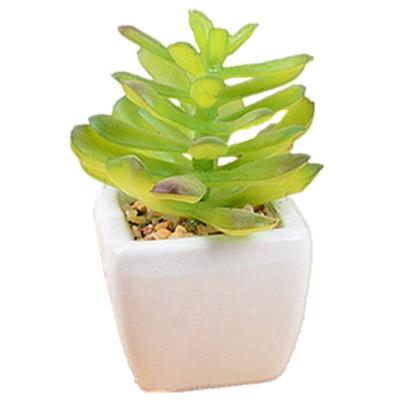 China Eco-friendly Small Artificial Plant Decorative Artificial Succulents For Home Decoration And Wedding In White Square Ceramic Pot for sale