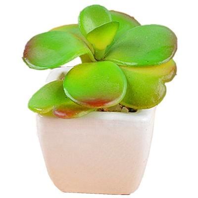 China Eco - Friendly Decorative Square Ceramic Potted Artificial Succulents / Artificial Plant For Home Decoration And Wedding for sale