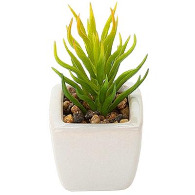 China Eco-friendly Small Mini Desktop Artificial Plant Decor Home Decor Artificial Succulent Bonsai With White Ceramic Pots for sale