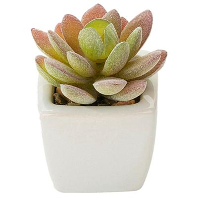 China Eco-friendly Fake Potted Mini Artificial Succulents Plastic Plants For Home Office Bathroom Table Desk Decoration for sale