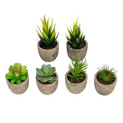 China Cheap Home Office Small Artificial Plant Decoration Artificial Bonsai Succulent Fake Plant Eco-Friendly In Pulp Pot for sale