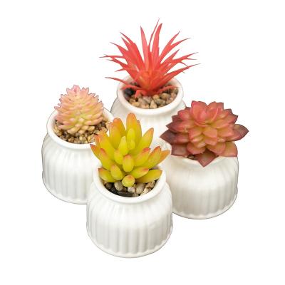 China Eco-Friendly Artificial Home Office Decoration Small Artificial Plant Decoration Bonsai Succulent With White Round Ceramic Pot for sale