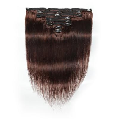 China Silky Straight Wave Vendor Straight Clip In Ponytail 10