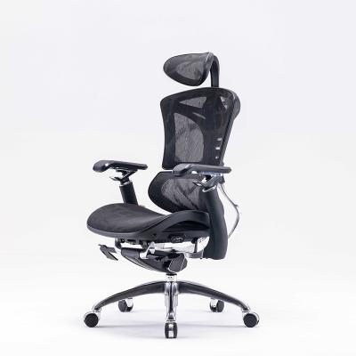 China Sihoo 2022 New Arrival High End Ergonomic High Quality Dragon Pattern Mesh Office Chair Full Adjustable for sale