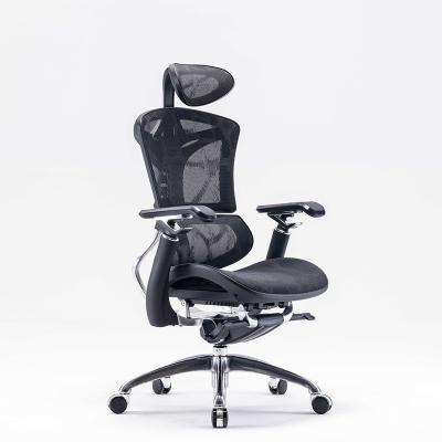 China Dragon Pattern Mesh Design High End Ergonomic Chair (Height) Sihoo 2022 New Full Adjustable Design Chairs Office Chairs for sale