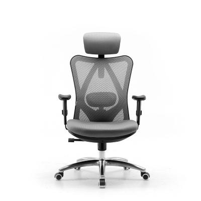 China (Size) 2022 SIHOO M18 High Ergonomic Adjustable Conference Office Adjustable Back Mobile Chair With Wheel for sale