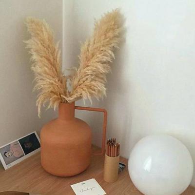 China Artificial Flower Home Deco Reed Diy Whisk Dried Flower Home Decoration Living Room Office Flower Eternal Pampas Grass for sale