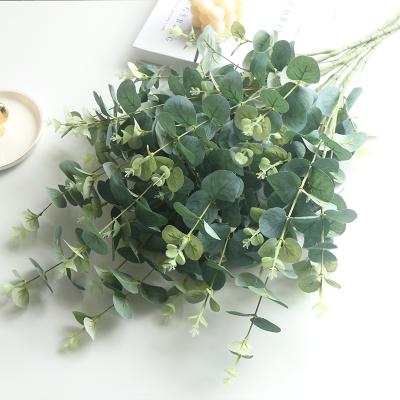 China Hot Selling Real Touch 11 Touch Natural Artificial Eucalyptus Heads Green Plant Money Green Leaves For Home Decoration for sale