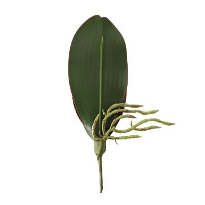 China Real Touch Natural Flower Arrangement Touch Leaves Artificial Plant Latex Orchid Flower Phalaenopsis Leaves for sale