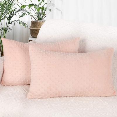 China Anti-Pull Velvet Pillow Covers 18x18 Inch Super Soft Cushion Covers Solid Square Tile Covers For Sofa Bedroom Car (18x18 in for sale