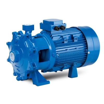 China High Quality Developing World Water Solutions Twin Impeller Water Pump With Motor Support for sale