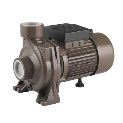 China Automotive industry Fujian Viking 3.0hp centrifugal water pump for gardening and irrigation for sale