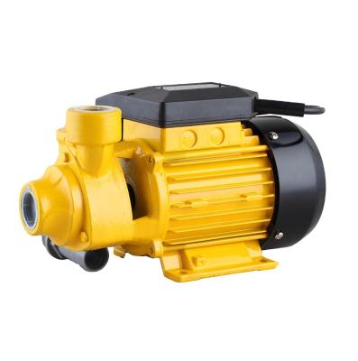 China Developing world water solutions 0.5hp pump PM series smallelectric peripheral water pump for sale