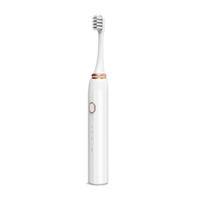 China Private Label IPX7 USB Rechargeable Ultra Soft Automatic Sonic Electric Toothbrush Adult for sale