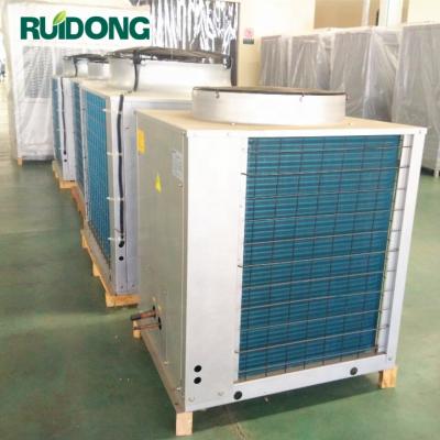 China Restaurant/hotel/office/KTV/school Ruidong R410a air conditioner rooftop ducted split unit for sale