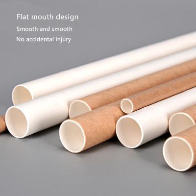 China Disposable Kraft Paper Straws Disposable Drinking Straw Eco - Friendly Paper Wrapped Black White for sale