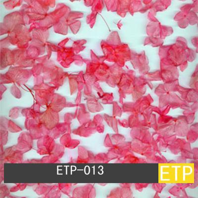 China Ecoresin Translucent Panel for sale