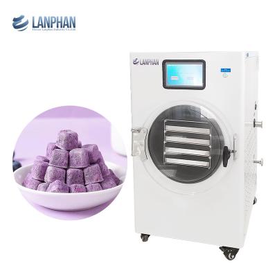 China Lyophilizer Home Freeze Dryers With Vacuum Pump For Freeze Dried Coffee Milk Yogurt for sale