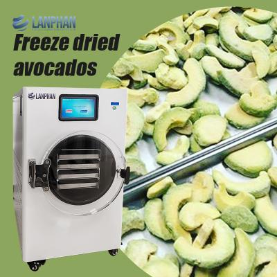 China Máquina de secado de frutas de acero inoxidable para aguacate, higo, melocotón, aguacate Secador de vacío para alimentos en venta