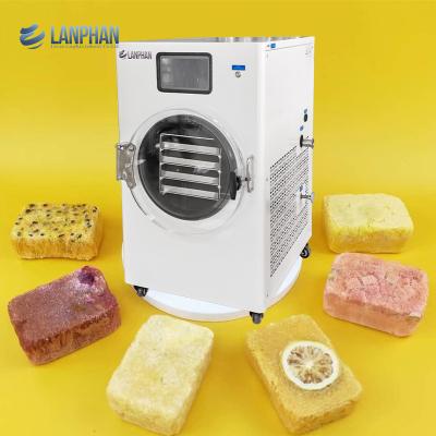 China Home Freeze Dryer Freeze Dry Food Machine For Freeze-dried Instant Soup/tea Cubes for sale