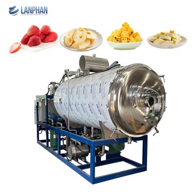 China Large Stainless Steel Food Freeze Dryer Fruit Flower Industrial Freeze Drying Machine for sale