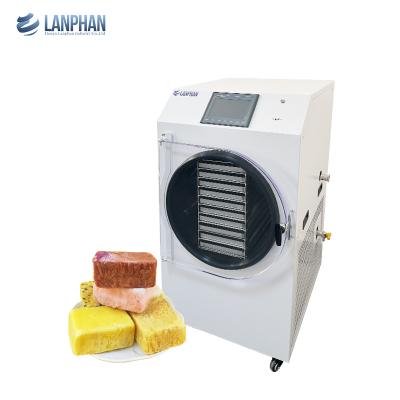 China 10 Trays Vacuum Freeze Dryer Machine Candy Fruit Tea Milk Food Freeze Dryers For Home Use for sale