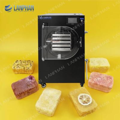 China 5 Trays Home Use Sea Cucumber Fruits Vegetables Small Freeze Dryer Machine For Sale zu verkaufen