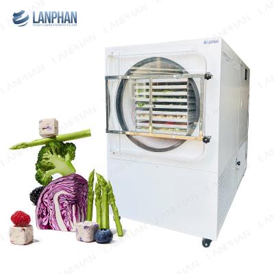 Cina Lanphan Automatic Large Freeze Dryer 5m2 Freeze Dryer Machine per carne frutta ortaggi in vendita