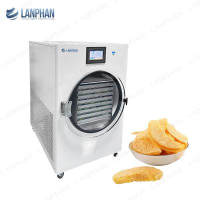 China Vriesdrogerapparatuur Fruit Candy Flesh Vriesdroger 220V Vriesdrogeraam Te koop