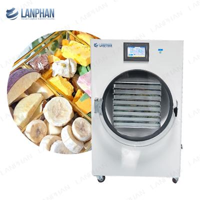 China 45kg 40kg Home Freeze Dryer Fruit Dog Treat Food Vegetable Fruit Freeze Dryer for sale