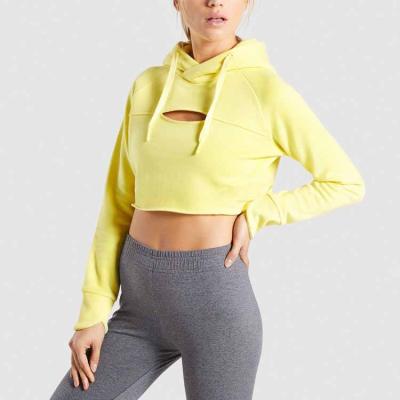 China High Quality Custom Knitted Plain Cropped Hoodie Woman Cotton Workout Blank Pullover Fitness Anti-wrinkle Crop Top Distressed Hoodies for sale