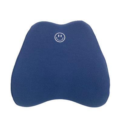 China Anti-Static back rest for car lumbar pillow support for home office swivel office chair for sale