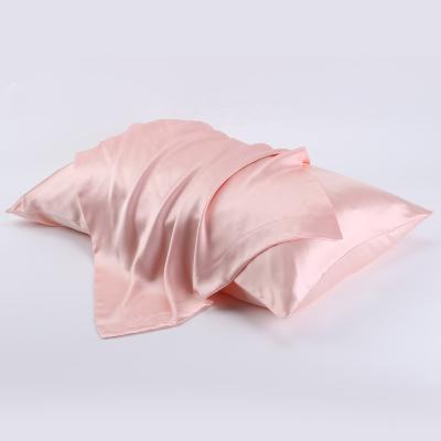 China Anti Dust Mite Christmas 100% Mulberry 6A Grade 16 19 22 momme Standard Queen King Pure Silk Pillowcase for sale