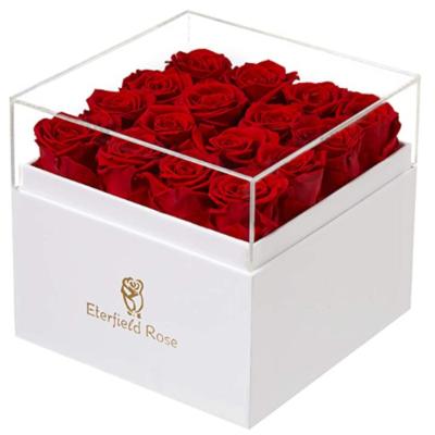 China Home Decor Chasewin Factory Price Real Preserved Natural Rose Flower Red Eternal Roses For Mother's Day for sale