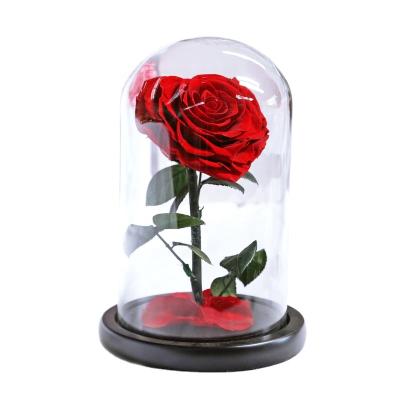 China 2022 Home Decor Amazon Hot Sale Heart Shape Preserved Roses Everlasting Flower Rose In Grass Gifts For Valentine's Day for sale