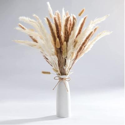 China Natural Lagurus Ovatus Home Decor Bunny Tails Grass 50 Stems Dried Flowers Used For Photo Props for sale