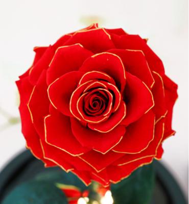 China 2022 Hot Sale Home Natural Amazon Decor Real A Grade 5-6 Cm Preserved Roses DIY Materials Eternal Flower Rose for sale