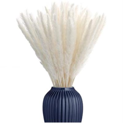 China 2021 New Arrivals Home Decorative Artificial Grass Decor Indoor Grass Real Small Dry Pampas Grass for sale