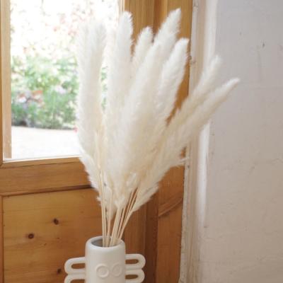 China 2021 Home Decor Small Natural Real Fluffy Dry White Pampas Grass Real Grass For Decoration Wedding Home for sale