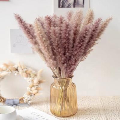 China Home Decor Real Small 30pcs Real Small Flower Pampas Grass Natural Dry Pampas Grass Gift Box For Amazon for sale