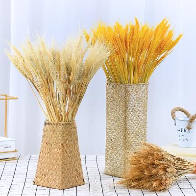 China Natural Touch Hotel Fashion Decors Multi Colors Indoor Plant Decorations Eternal Drying Barley Flores for sale