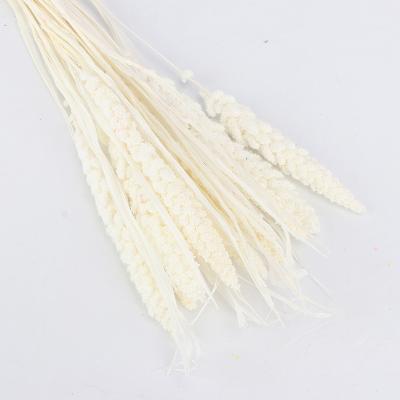 China Wholesale Home Decor Dried Flower Rice Flower Colorful Millet Flower For Wedding Decorations for sale