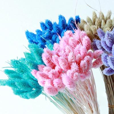 China Wholesale Home Decor Plants Decorative Flowers Jewelweed Natural Dry Grass For Decoration Wedding Home for sale