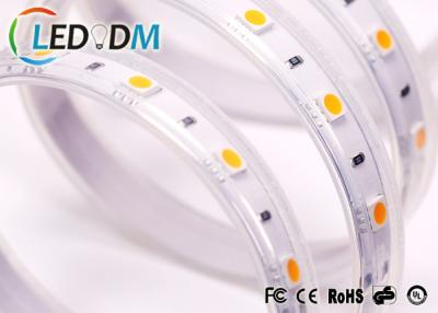 China 60 luz de tira de LEDs/M SMD 5050 LED 12V/24V con la placa posterior del caucho de 3M en venta