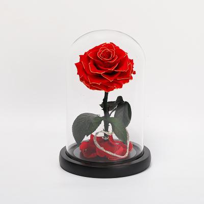 China Preserved Rose Real Rose Decoration Flower Little Prince Preserved Natural Rose Flower In Glass Eternal for sale